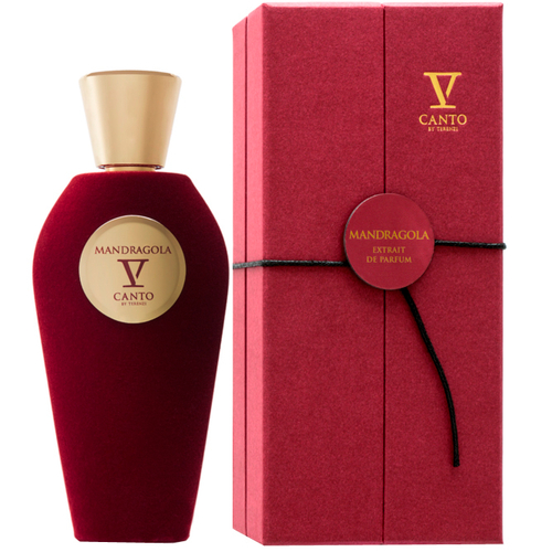V CANTO MANDRAGOLA