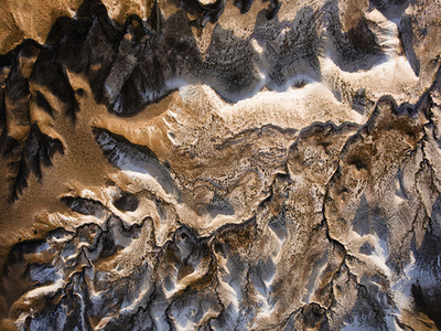 Дизайнерские обои Wall Street Bird see