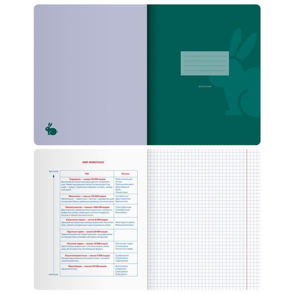 Тетрадь предметная А5 48л. "Monocolor. Element. Биология" (BG)