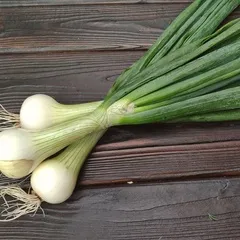 Лук свежий репчатый некрупный / 200 гр Лук свежий репчатый некрупный / 200 гр