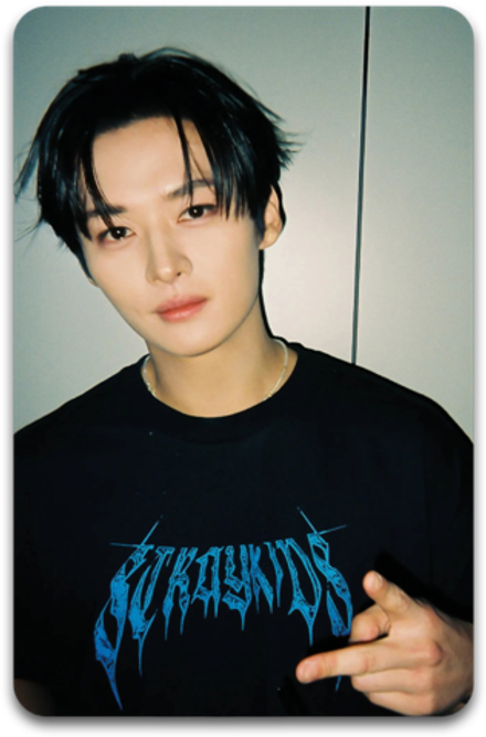 Карта / STRAY KIDS #4249