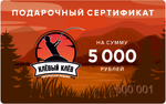 Подарочная карта номиналом 5 000 руб.