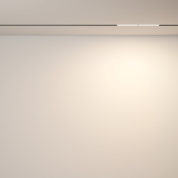 Трековый светильник Technical TR106-2-12W3K-B