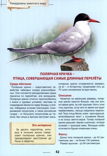 ЭНЦИКЛОПЕДИЯ ДЛЯ ДЕТЕЙ новые. РЕКОРДСМЕНЫ ЖИВОТНОГО МИРА