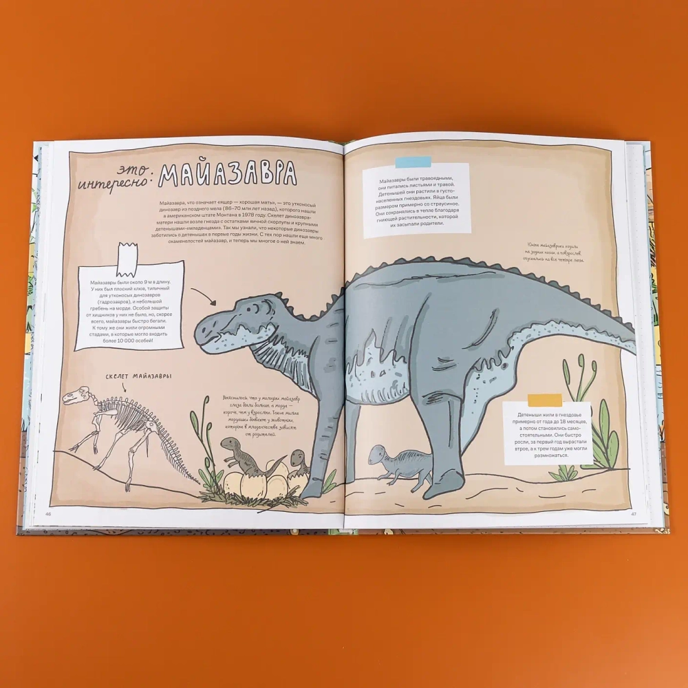 Камни и кости