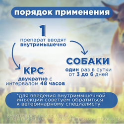 Противовирусный, иммуномодулирующий и противовоспалительный инъекционный раствор для животных, Анандин 10%, АВЗ, 100 мл.