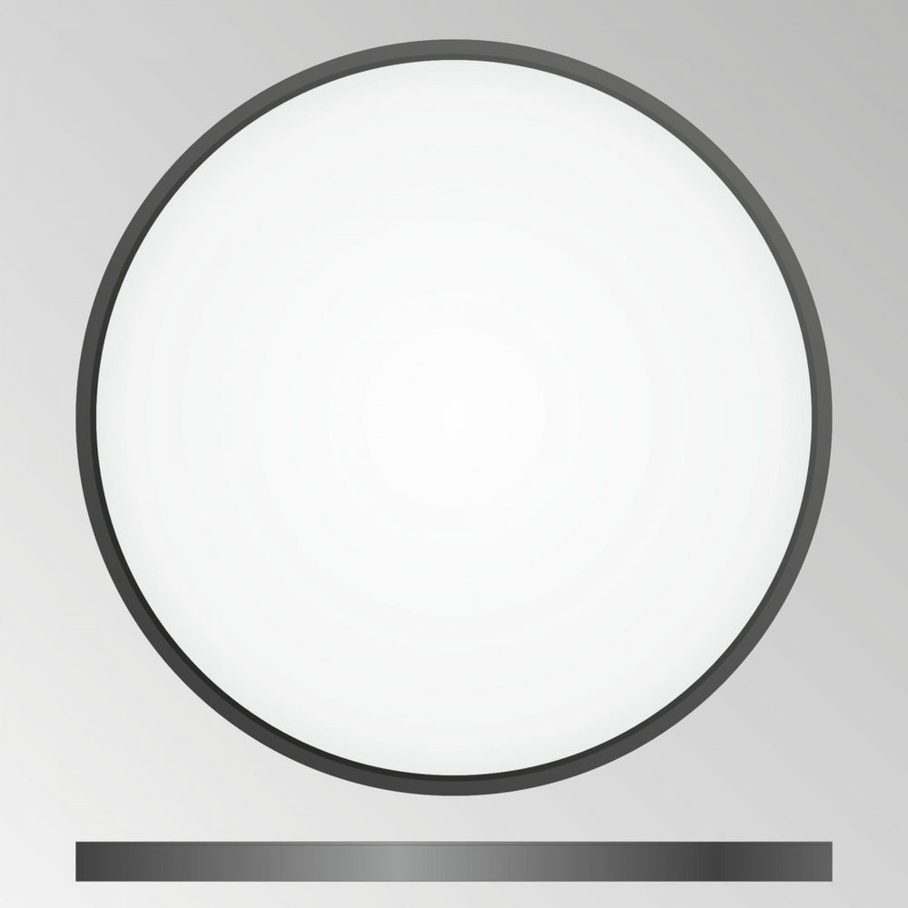 Citilux Бейсик CL738401V Светильник накладной Чёрный