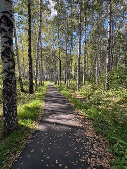 3-комнатная квартира, 72,8 м² / Чистовая отделка