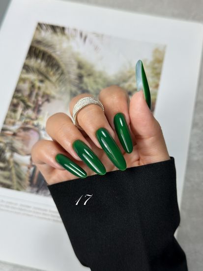 Гель-лак ENIGMA 6 мл. №17