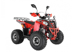 Квадроцикл WELS Thunder EVO LUX X 125