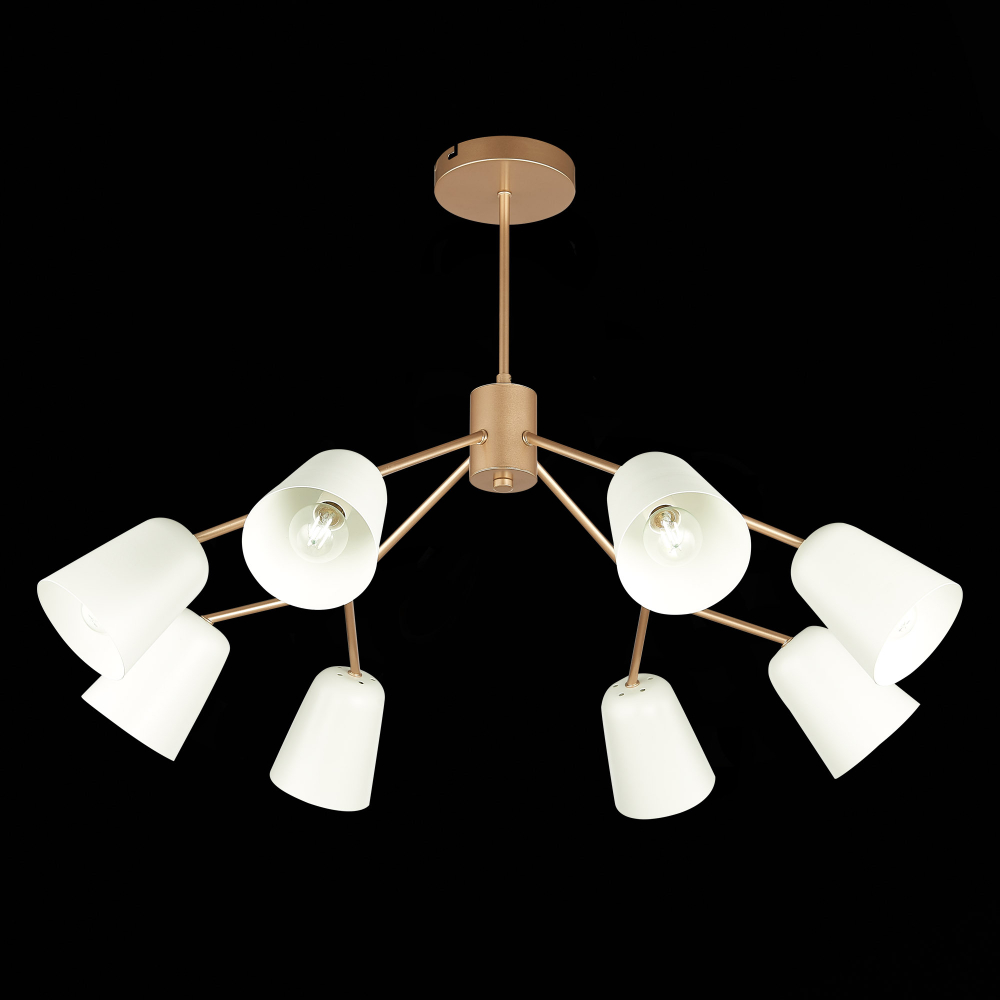 Светильник потолочный Evoluce Mario SLE155902-08