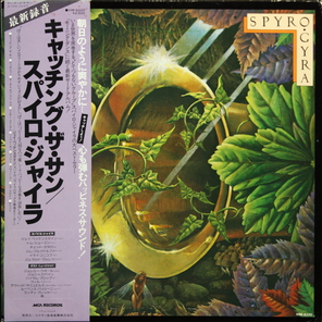 Spyro Gyra / Catching The Sun (LP)