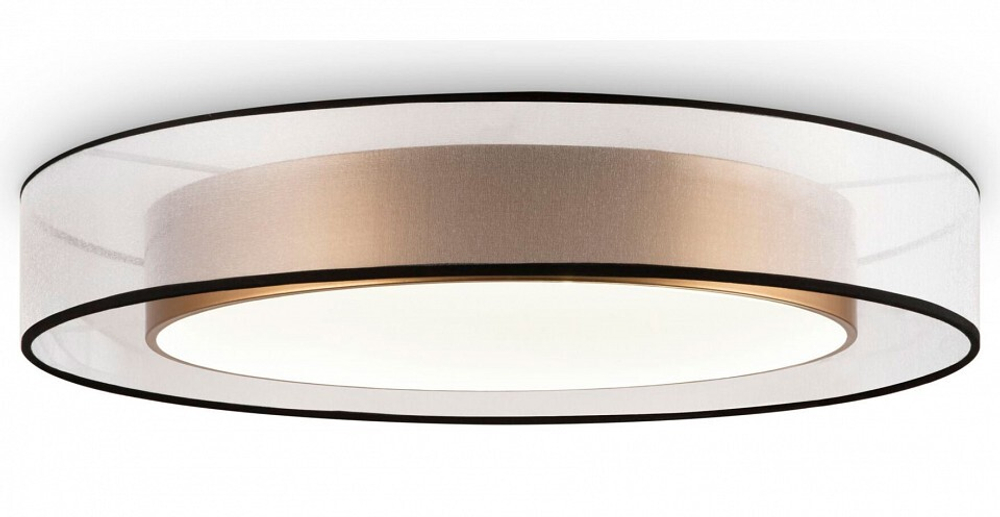 Накладной светильник Freya FR6005CL-L48G