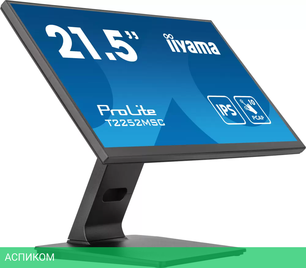 Монитор Iiyama ProLite T2252MSC-B2