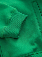 Толстовка с капюшоном на молнии для мальчика Next AV0-045, Зеленый