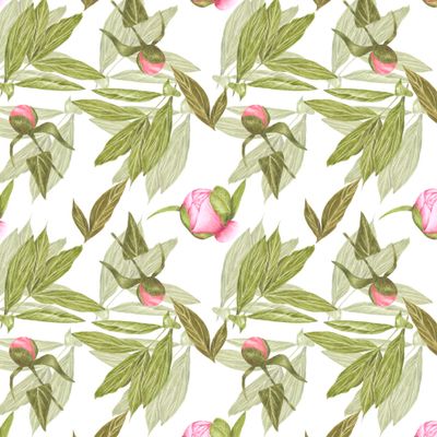 Бутоны розового пиона с зелеными листьями