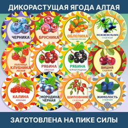 Слива сушеная с косточкой. Тернослив, слива.