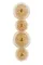 W5856P/4 GOLD+CLEAR+AMBER (1) Настенный светильник  NW