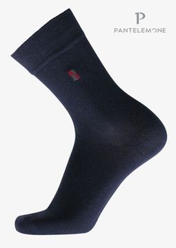Носки мужские Pantelemone PN-102 (10 пар),синие