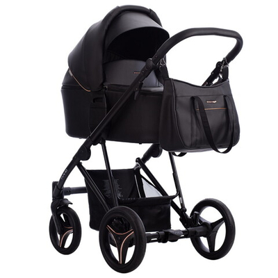 Детская коляска Bebetto Flavio Pro 2 в 1 06 черная кожа