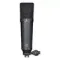 Neumann U 87 AI MT Studio Set