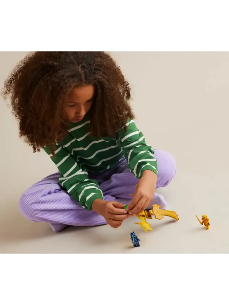 Конструктор NINJAGO 71803 Удар восходящего дракона Арина