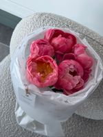 Букет из пионов сорта Корал Шарм 5 шт