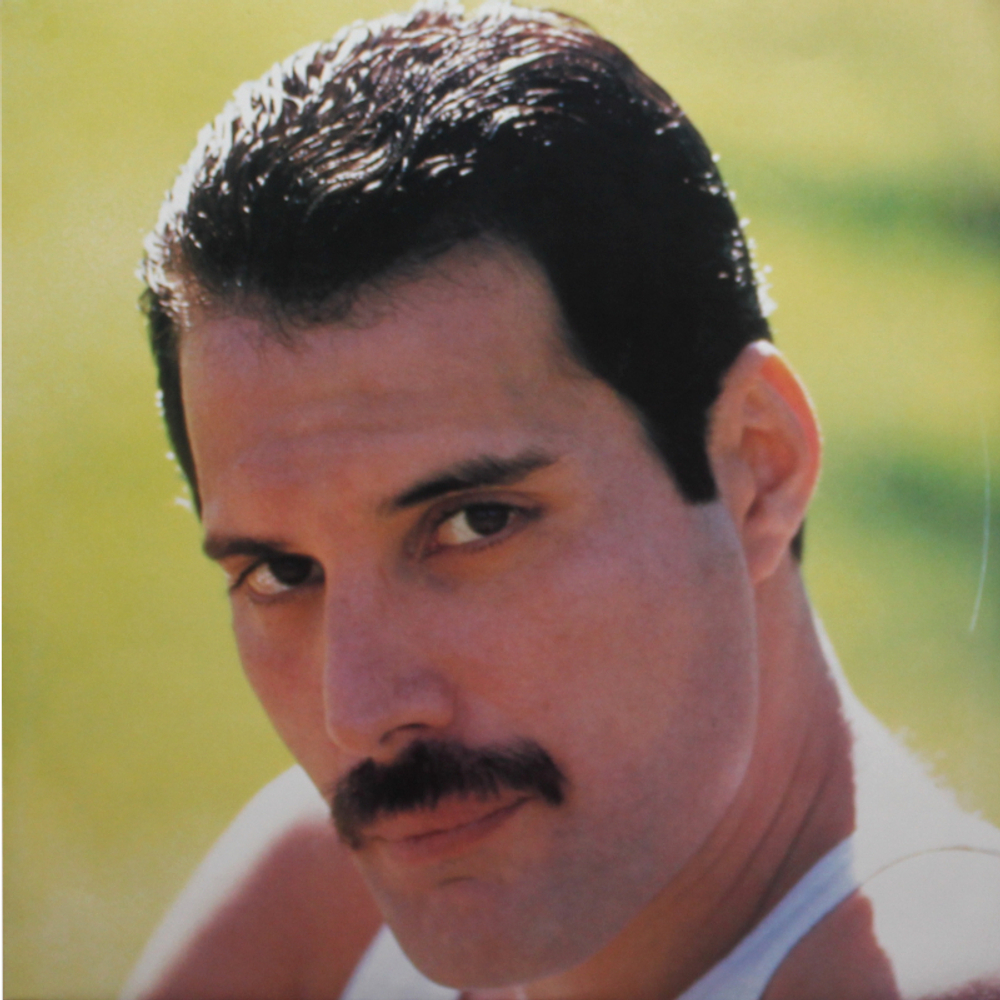 Freddie Mercury / Mr. Bad Guy (LP)