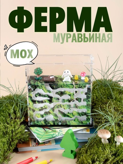 Муравьиная ферма "Мох" с муравьями в подарок