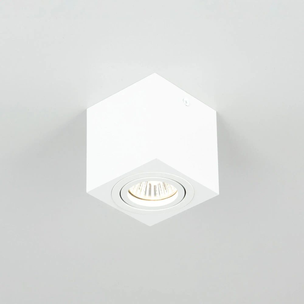 Citilux Дюрен CL538211 Светильник накладной поворотный Белый