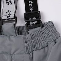 Полукомбинезон зимний мембранный "Пепел"