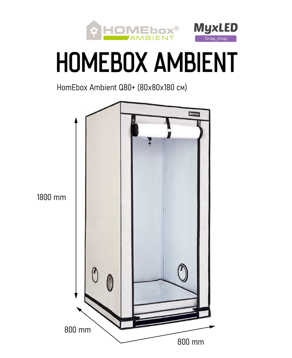 HomeBox Ambient