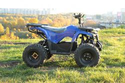 Дачник ЕМ-015 Супер New (1500Вт 60В R8 Пониженная Диф)