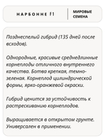 Семена морковь Нарбонне F1 для посадки, 0,5 гр. семян (Vita Green / Вита Грин)