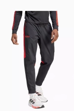 Штаны adidas Predator 30th Anniversary Woven