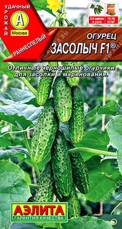 Огурец Засолыч F1 ®       10 сем