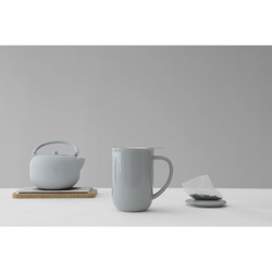 Чайник заварочный с ситечком 0.8л VIVA Scandinavia Saga Серо-голубой