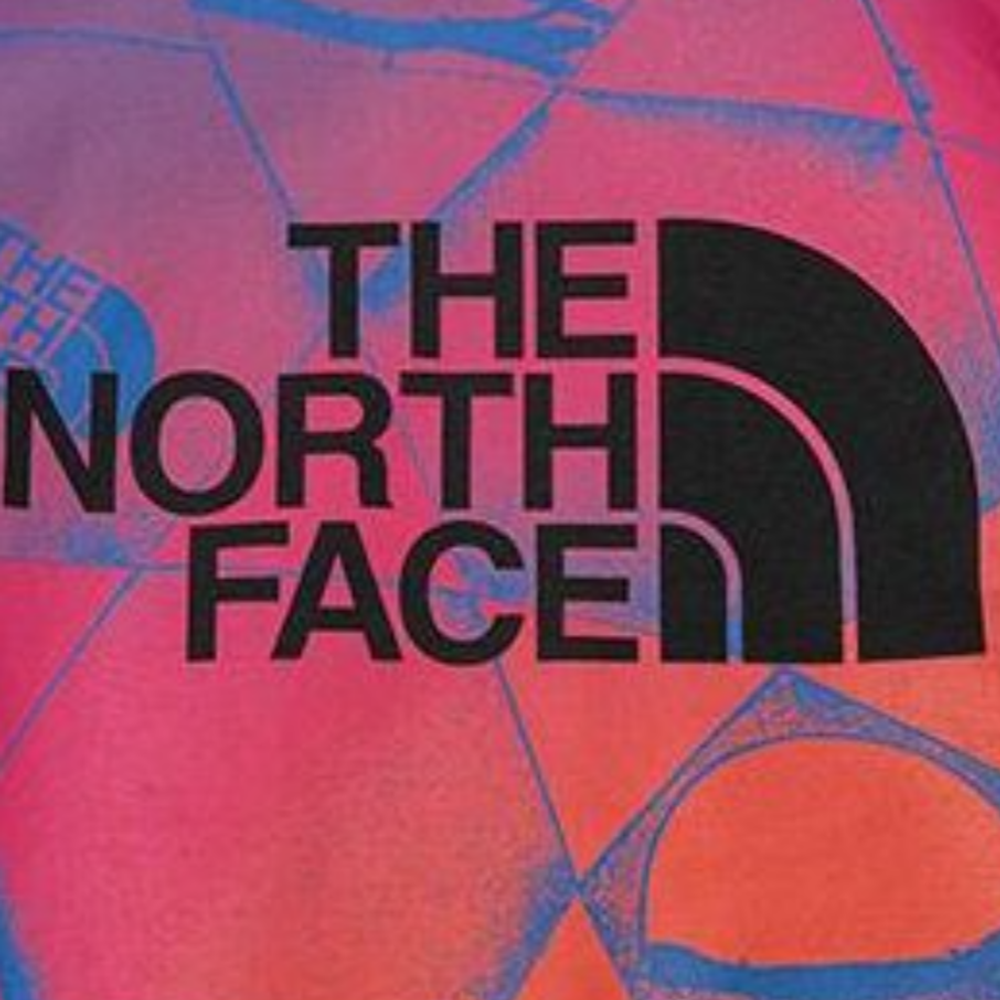 Худи THE NORTH FACE, NF0A7UOT-87U