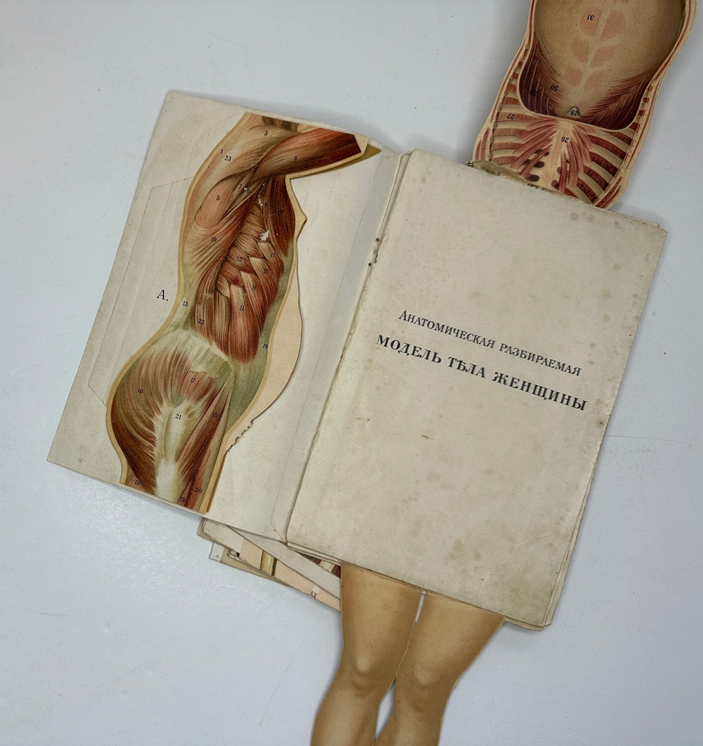 Платен М. Новый способ лечения. Лечение целебными силами природы. — Берлин: Изд. Просвещение, 1901