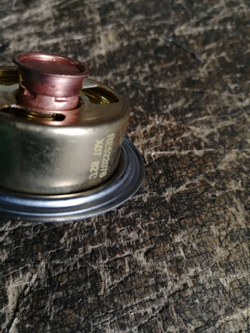 Термостат F01/82536