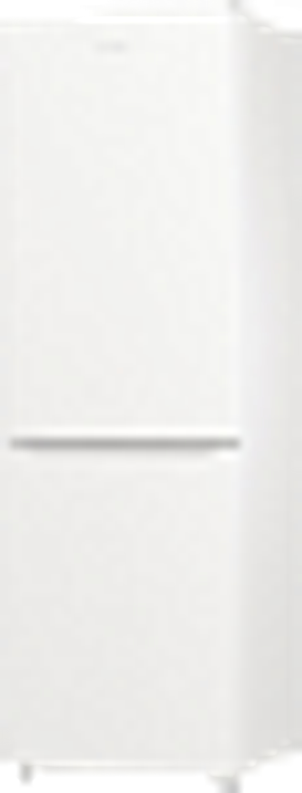 Отдельностоящий двухкамерный холодильник Gorenje NRK619EEW4