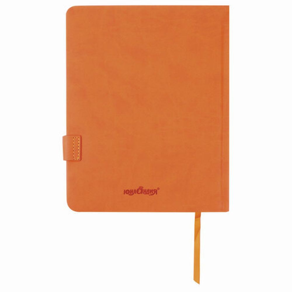 Дневник 1-4 класс 48 л., обложка кожзам (твердая), застежка, ЮНЛАНДИЯ, "СОВЕНОК", 105491