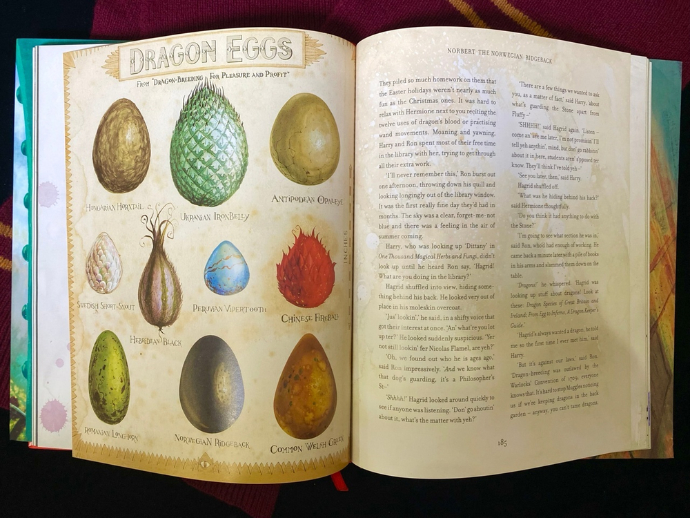 Harry Potter & the Philosopher's Stone - illustrated ed. (HB)