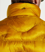 Безрукавка Paul&Shark - горчичный(14312693)