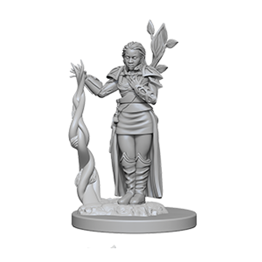 D&D Nolzur's Marvelous Miniatures Human Female Druid