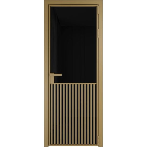 Алюминиевая дверь 15AG золото стекло чёрный триплекс