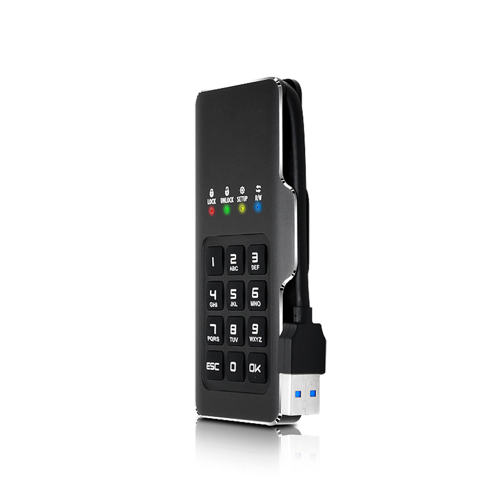 Мини-диск с шифрованием и паролем DataLock PRO М2 1 Tb