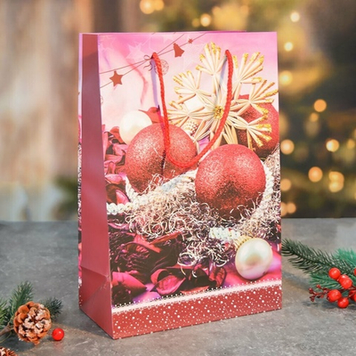 Пакет бумажный 20*30*10см с ручками "Новый год" (микс 431)