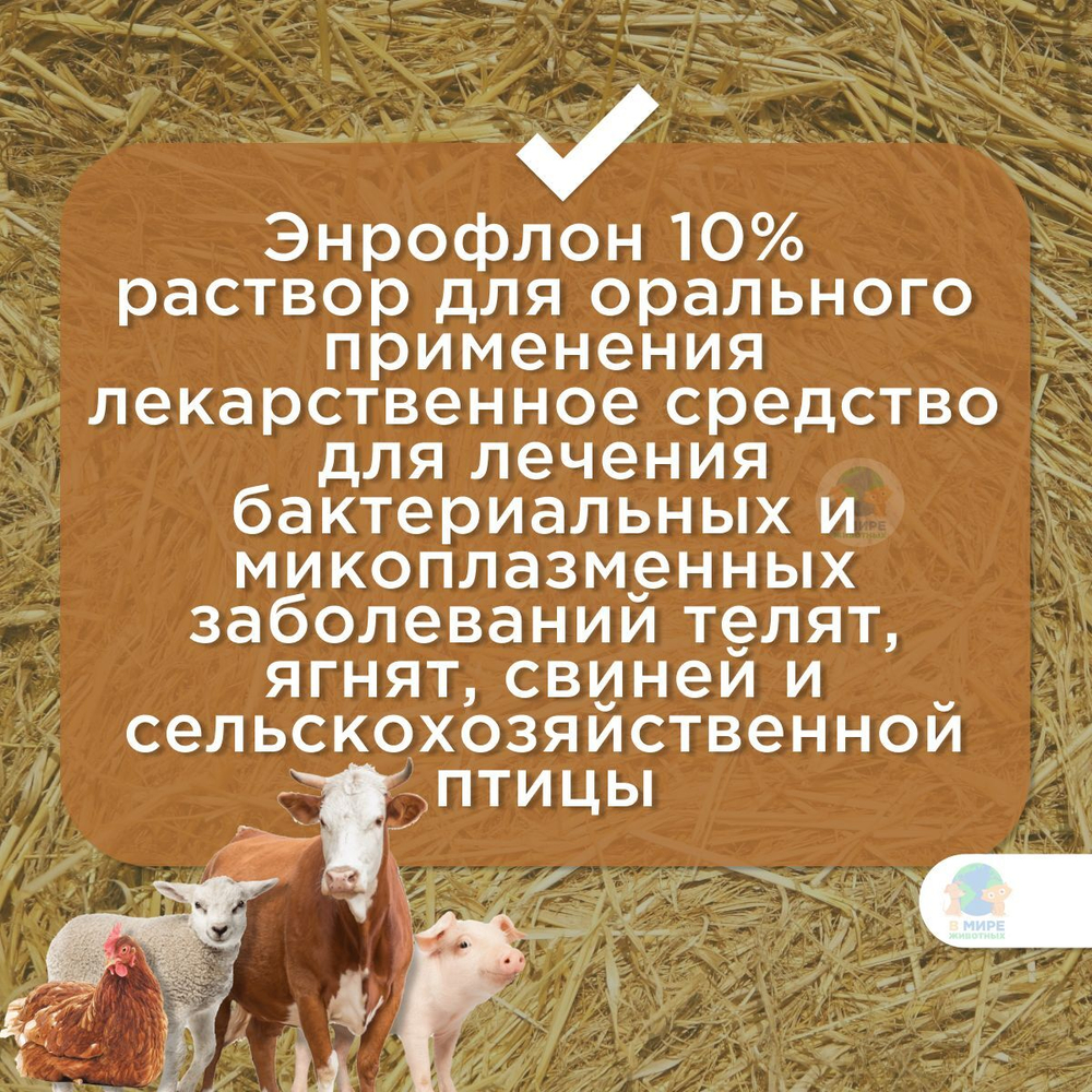 ВИК Энрофлон 10%, раствор для лечения бактериальных и микоплазменных заболеваний сельскохозяйственных животных, 10 мл, 1шт. Энрофлоксацин.