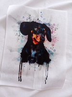 Панель (Армани-шелк дублир-й). Кино №1